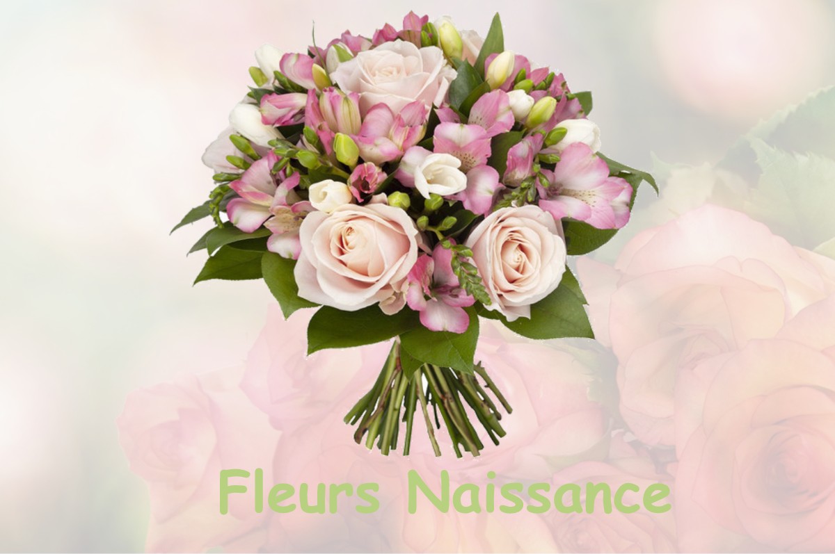 fleurs naissance ESTANCARBON